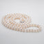 Freshwater Cultured White Pearl Necklace Oval Buckle