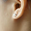 14K/18K Gold 6.5mm Round Cut 2.0cttw Moissanite Diamond Classic Stud Earrings