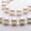 Freshwater Cultured White Pearl Necklace Butterfly Buckle