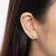 Brilliant Round Cut Moissanite Stud Earrings
